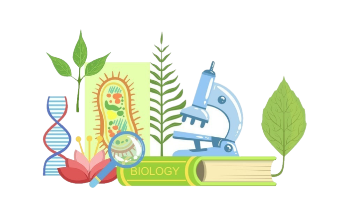 biolubf