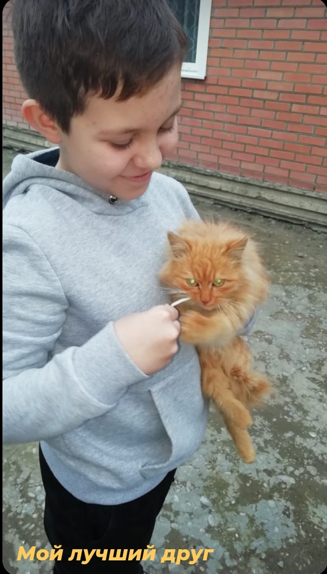 joiij 2