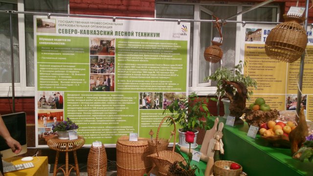 WorldSkills 2014
