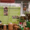 WorldSkills 2014